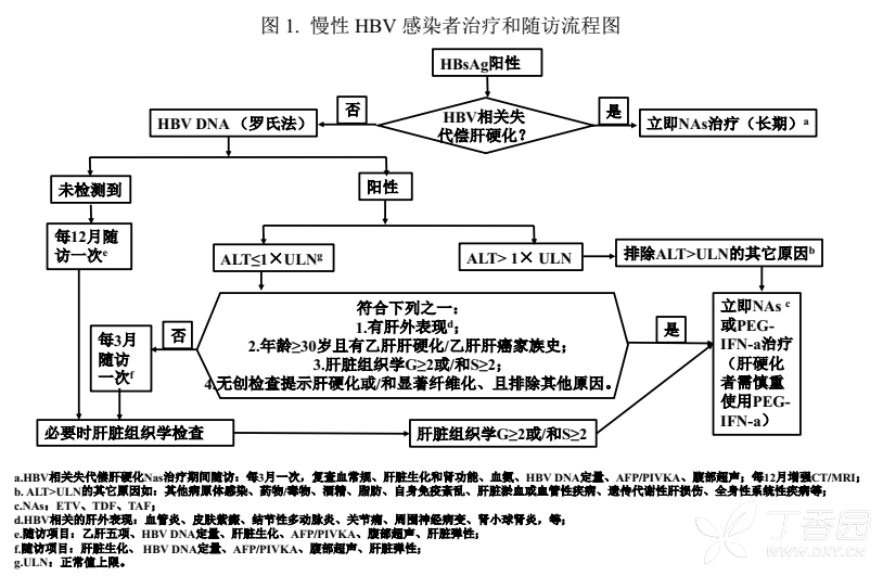2019年版慢乙肝指南即將發布，抗病毒適應癥放寬啦！
