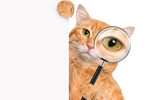 北京寶寶打疫苗預防針時間表